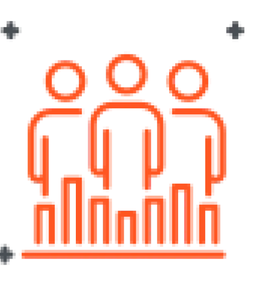 Workforce augmentation and project management